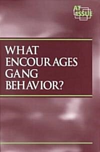 What Encourages Gang Behavior? (Paperback)