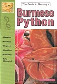 Burmese Pythons (Paperback)
