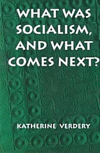 [중고] What Was Socialism, and What Comes Next? (Paperback)