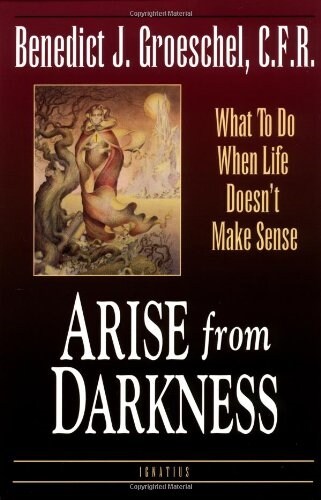 Arise from Darkness: What to Do When Life Doesnt Make Sense (Paperback)