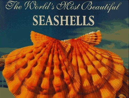 The Worlds Most Beautiful Seashells (Paperback)
