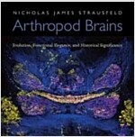 Arthropod Brains: Evolution, Functional Elegance, and Historical Significance (Hardcover)