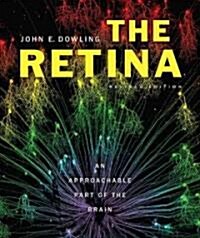 The Retina: An Approachable Part of the Brain (Hardcover, Revised)