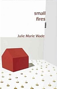 Small Fires (Paperback)