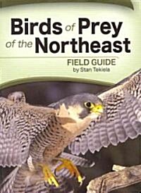 Birds of Prey of the Northeast Field Guide (Paperback)