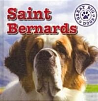 Saint Bernards (Library Binding)