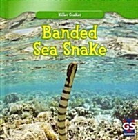 Banded Sea Snake (Library Binding)