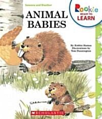 Animal Babies (Paperback)