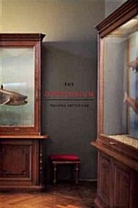 The Odditorium: Stories (Paperback)