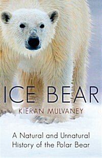 Ice Bear : A Natural and Unnatural History of the Polar Bear (Paperback)