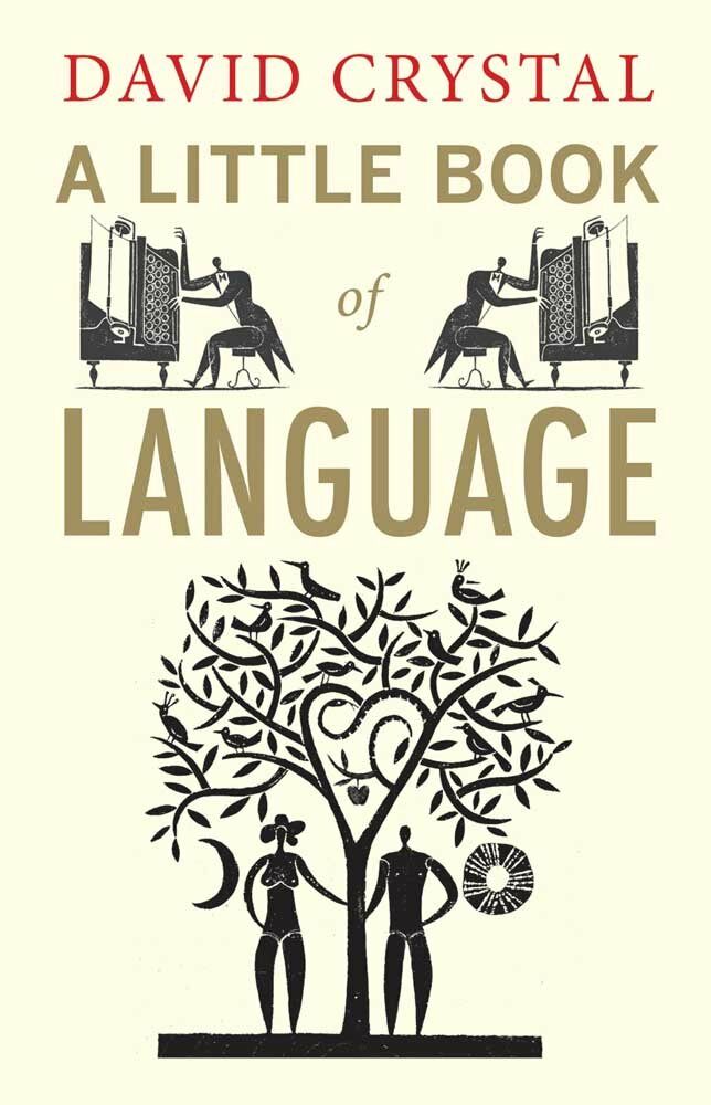 A Little Book of Language (Paperback, Reprint)