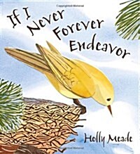 If I Never Forever Endeavor (Hardcover)
