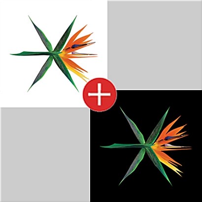 [중고] [세트] 엑소 - 정규 4집 The War (Korean + Chinese Ver.)  [Regular A/Regular B/Private 중 랜덤 발송]