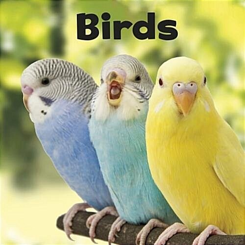 BIRDS (Hardcover)