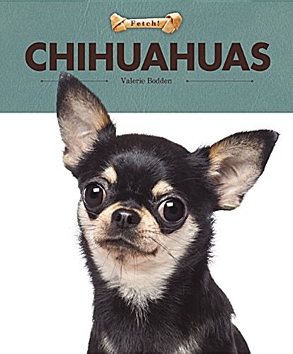 Chihuahuas (Paperback)