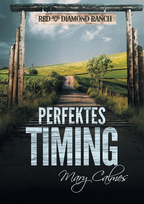 Perfektes Timing (Translation) (Paperback, Translation)