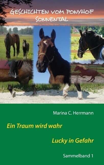 Geschichten vom Ponyhof Sonnental: Sammelband 1 (Paperback)
