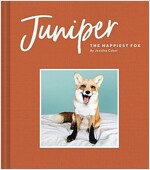 Juniper: The Happiest Fox