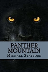Panther Mountain: The Lost Gold Mine (Paperback)