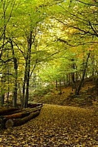 Trail Into the Woods in Autumn Journal: Take Notes, Write Down Memories in This 150 Page Lined Journal (Paperback)
