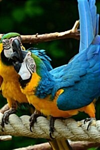 Blue and Gold Macaw Parrots Pair on a Rope Journal: Take Notes, Write Down Memories in This 150 Page Lined Journal (Paperback)
