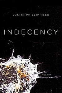 Indecency (Paperback)