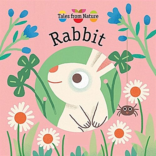 [중고] Rabbit (Board Books)