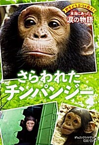 野生どうぶつを救え! 本當にあった淚の物語 さらわれたチンパンジ- (野生どうぶつを救え!本當にあった淚の物語) (單行本)