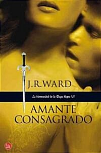 Amante Consagrado = Lover Enshrined (Paperback)