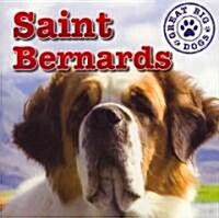 Saint Bernards (Paperback)