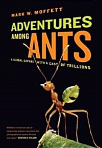 Adventures Among Ants: A Global Safari with a Cast of Trillions (Paperback)