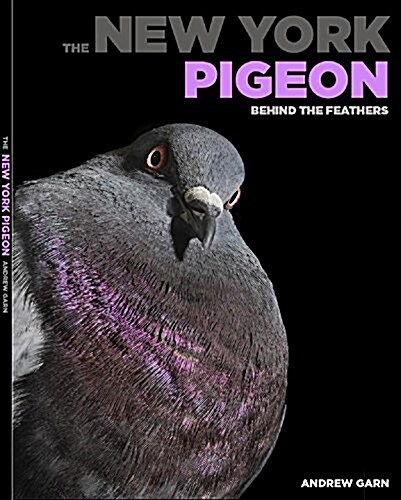 The New York Pigeon: Behind the Feathers (Hardcover)