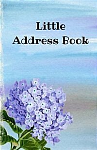 Little Address Book: Organizer Journal Notebook.: Address Blank Note Book for Emergency Contacts, Contacts Addresses, Phone Number, Email a (Paperback)