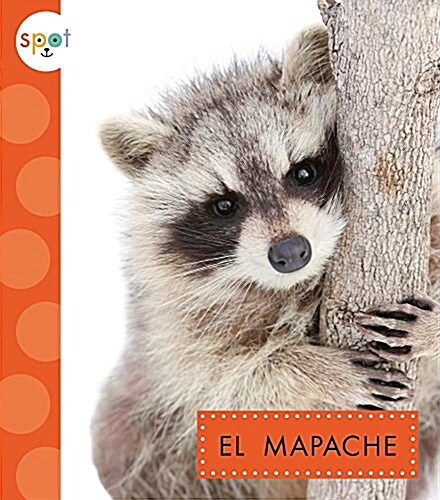 El Mapache (Raccoons) (Library Binding)