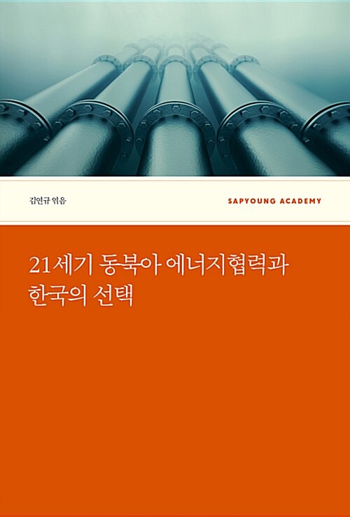 21세기 동북아 에너지협력과 한국의 선택