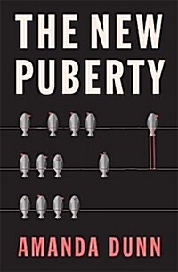 The New Puberty (Paperback)