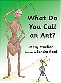 What Do You Call an Ant? (Hardcover)