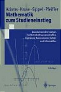 Mathematik Zum Studieneinstieg: Grundwissen Der Analysis Fur Wirtschaftswissenschaftler, Ingenieure, Naturwissenschaftler Und Informatiker (2. Verb. a (Paperback, 2nd, 2. Verb. Aufl.)