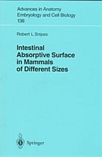Intestinal Absorptive Surface in Mammals of Different Sizes (Paperback)