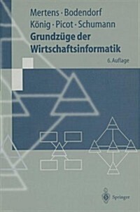 Grundzuge Der Wirtschaftsinformatik (Paperback, 6, 6., Uberarb. Au)