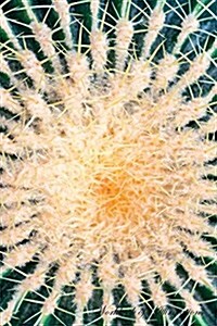 Golden Barrel Cactus Echinocactus Grusonii Workbook of Affirmations Golden Barrel Cactus Echinocactus Grusonii Workbook of Affirmations: Bullet Journa (Paperback)