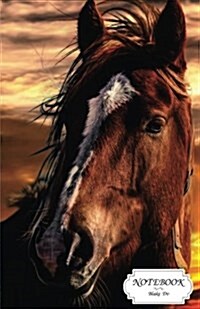 Notebook: Brown Horse with White Stripe on Face: Journal Dot-Grid, Graph, Lined, Blank No Lined, Small Pocket Notebook Journal D (Paperback)