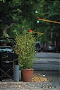 Journal: Buenos Aires Palmero Soho Street: El Corner of Salvador & Thames in Palermo Soho, Buenos Aires Blank Lined Journal (Paperback)