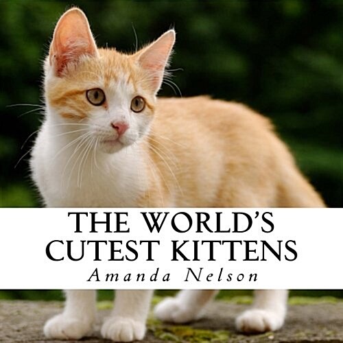 The Worlds Cutest Kittens: A Text-Free Book for Seniors and Alzheimers Patients (Paperback)