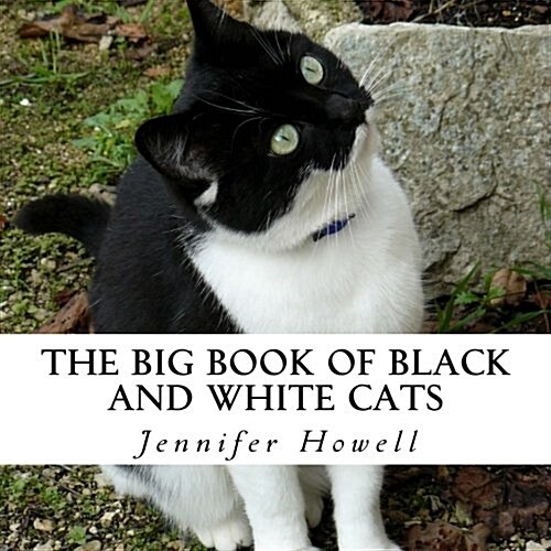 The Big Book of Black and White Cats: A Text-Free Book for Seniors and Alzheimers Patients (Paperback)