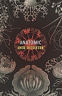 Anatomic (Paperback)