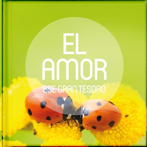 El Amor, Ese Gran Tesoro: Antologias de Relatos, Reflexiones, Poesias, Pasajes Biblicos y Frases Celebres Sobre Cinco Grandes Tesoros de la Vida (Hardcover)