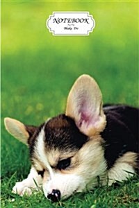 Notebook: Tri Color Pembroke Welsh Corgi Puppy: Journal Dot-Grid, Graph, Lined, Blank No Lined, Small Pocket Notebook Journal Di (Paperback)