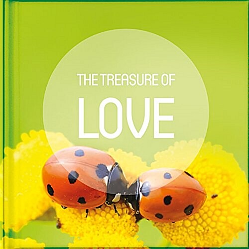 The Treasure of Love: Take a Pause from Your Busy Life to Read and Be Encouraged by the Anecdotes, Reflections, Poems, Scriptures, and Quota (Hardcover)