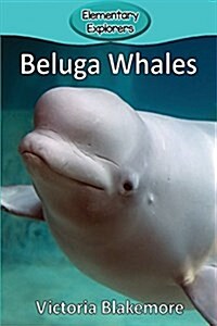 Beluga Whales (Paperback)